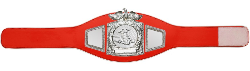 PROEAGLE MMA CHAMPIONSHIP BELT - PROEAGLE/S/MMAS - AVAILABLE IN 6+ COLOURS PROEAGLE MMA CHAMPIONSHIP BELT - PROEAGLE/S/MMAS - AVAILABLE IN 6+ COLOURS